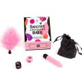 SECRET PLAY - cutie de plăcere pentru cupluri: zaruri + glonț vibrant + pix cu pană